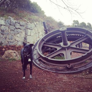 Riggins at Echo Mtn.