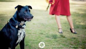 384841_2992371408273_1893829326_n