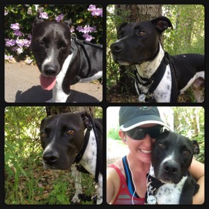 Running the Rose Bowl trails.