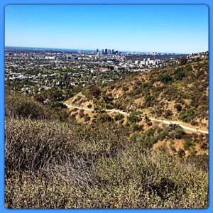 The main path at Runyon Canyon.
