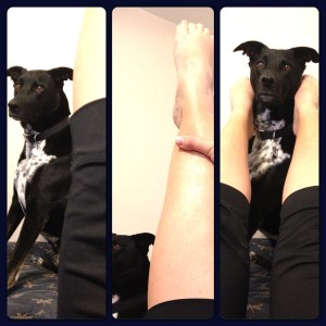 Round back with Riggins.  Strong leg and ab Bar Method muscles allows you to put your dog with your feet!