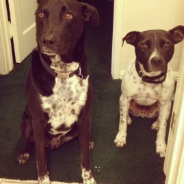 Butch Cassidy and the Sundance Kid