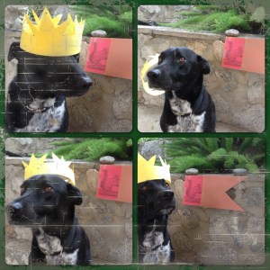 Riggins is not amused by me.  I, on the other hand, find myself hilarious.