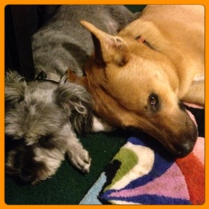 A long day of playing poops you out.