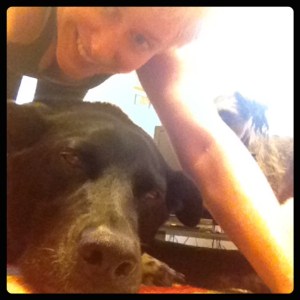 Downward facing dog on a dog.