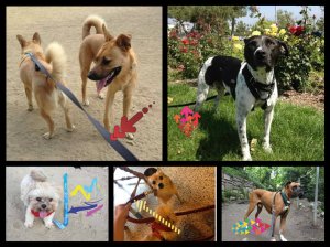 pizap.com13746051413031