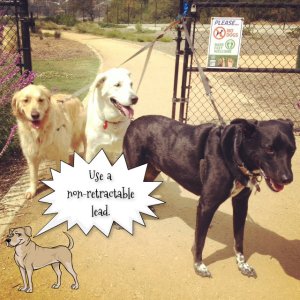 pizap.com13746056976801