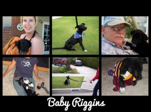 pizap.com13746081854961