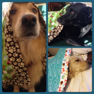 Asscher and Riggins model.