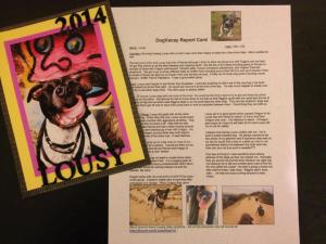 1545893_10203153327934013_575951367_n