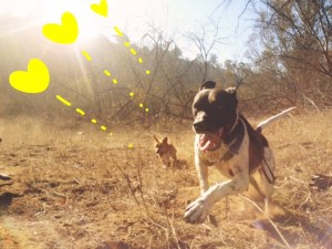 Processed with Rookie